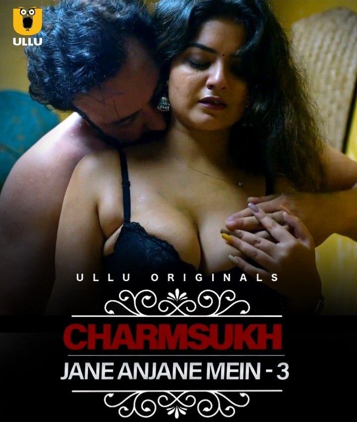 Jane Anjane Mein Part 3 (2023) Hindi Web Series [Ullu]